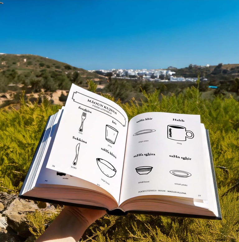 Person holding a Tunisian dictionary with images of objects and the Tounsi word associated.