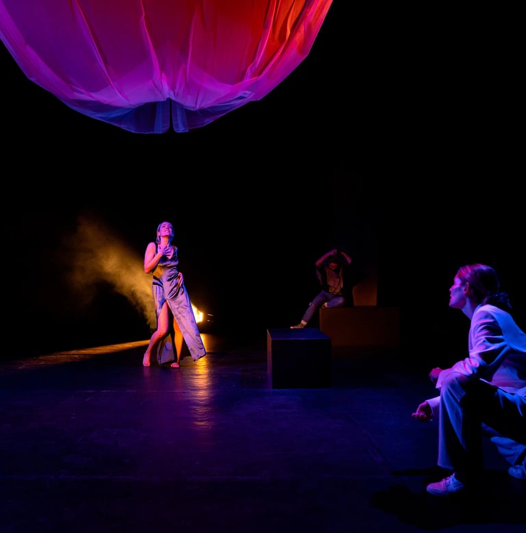 Spectacle - ET VIVRE ETAIT SUBLIME -sublimephoto©-3 - ARTEPHILE AVIGNON OFF 2026