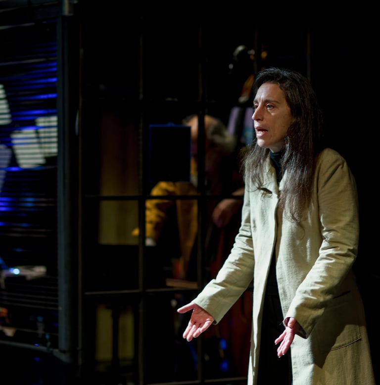 Spectacle - LICHEN - Photo Stef 2 - Compagnie Théâtre de l'Imprévu - Artéphile OFF 2026