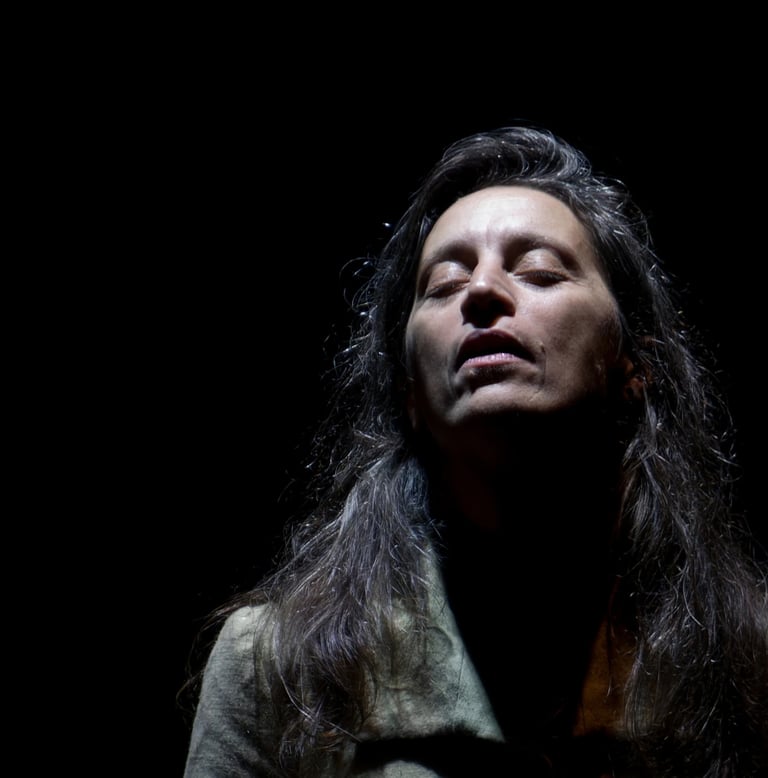 Spectacle - LICHEN - Photo Stef 3 - Compagnie Théâtre de l'Imprévu - Artéphile OFF 2026