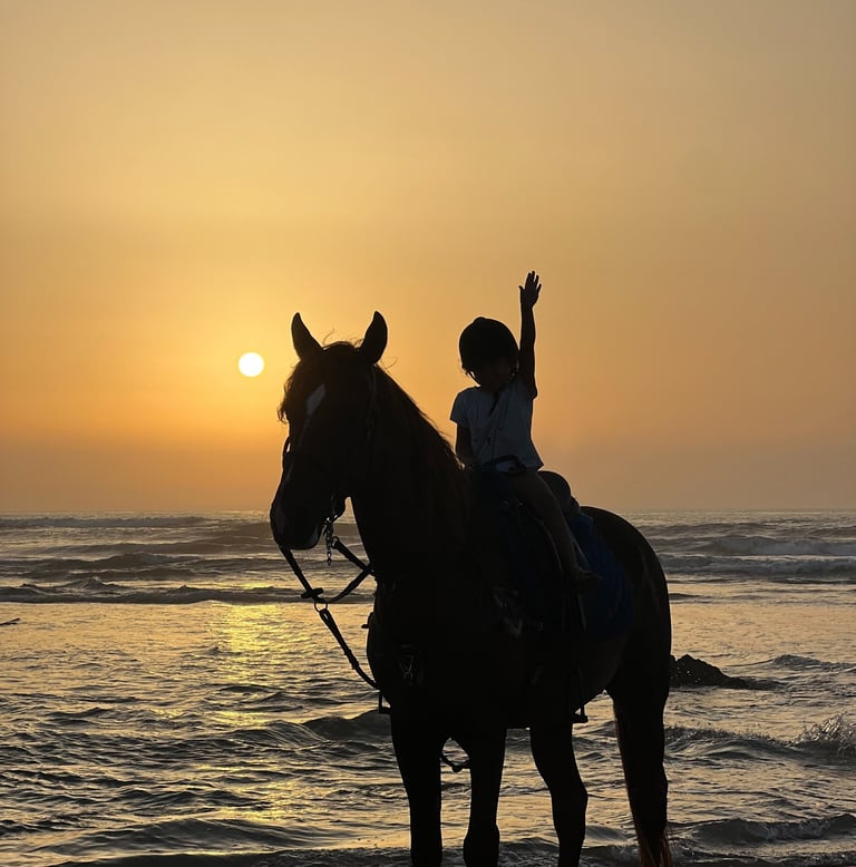 enfant à cheval en bord de mer pendant le coucher de soleil