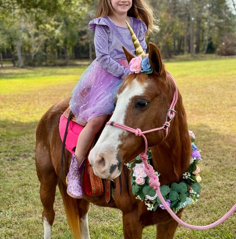Unicorn Snickers taking a princess on a pony ride