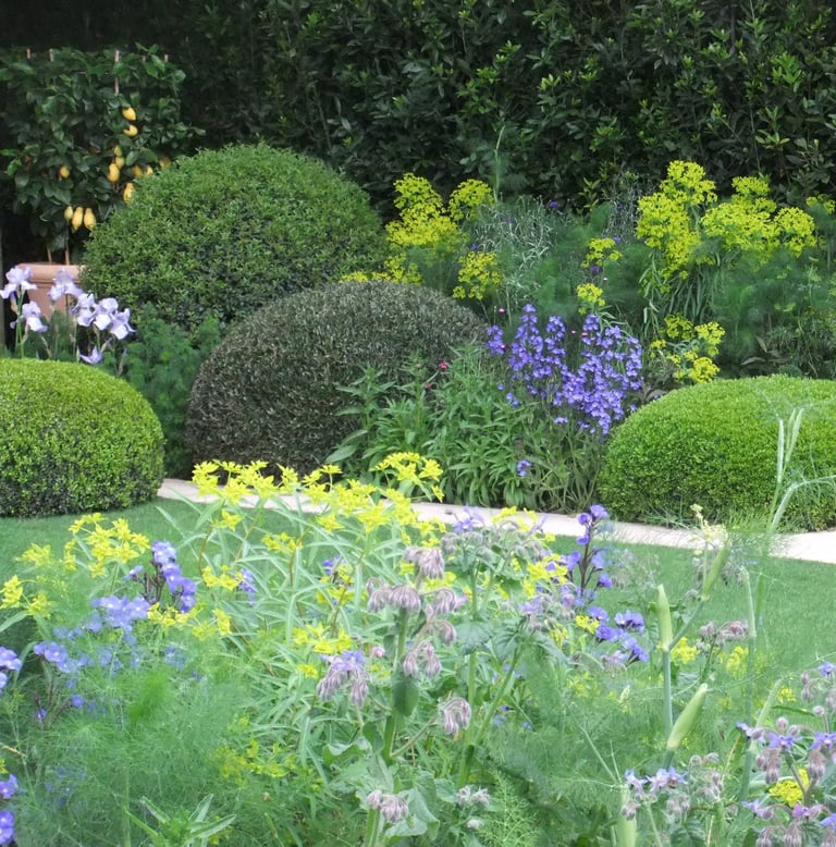 Mooie border met natuurlijke beplanting