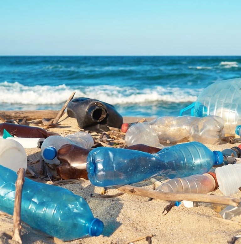 Plastic Waste on Beach
