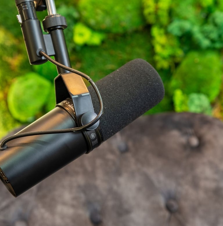 a microphone with a microphone and a microphone