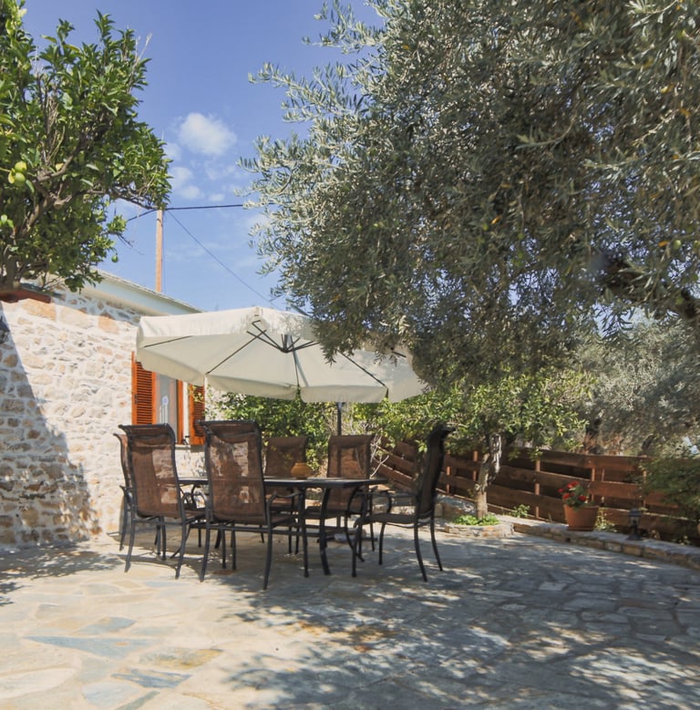 Sonnige Terasse mit Sitzgelegenhieten und Sonnenschirm. Bäume spenden Schatten.