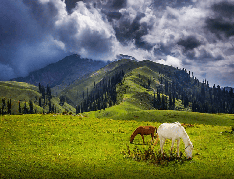 Shogran Valley