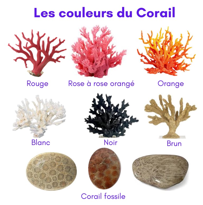 Les couleurs du Corail bijoux Les Couleurs de Lo