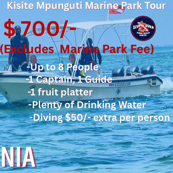 Kisite Mpunguti Marine Park boat tour featuring snorkeling and diving trips in Diani Beach Kenya.