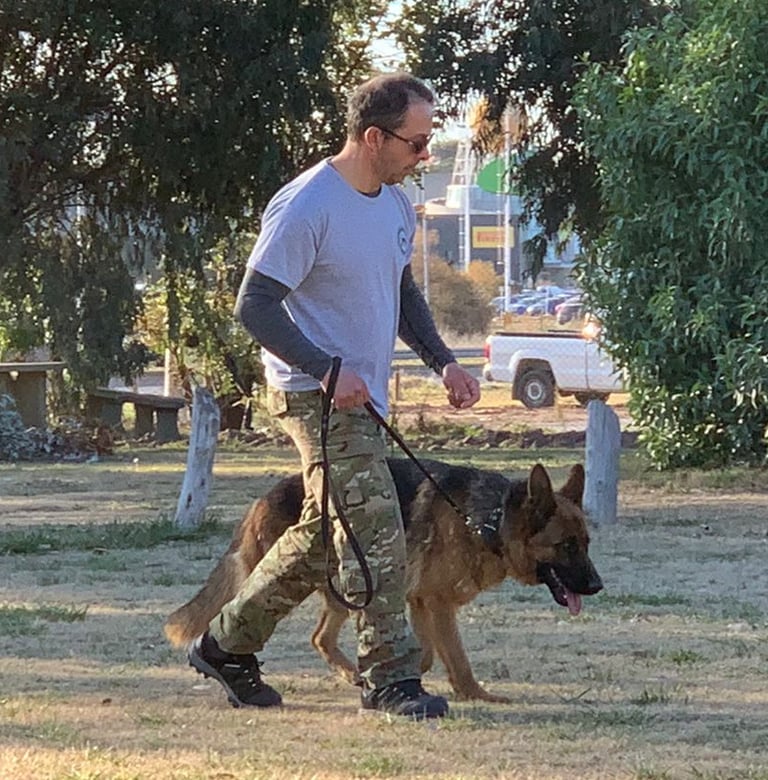 taller de cachorros certificados por un profesional