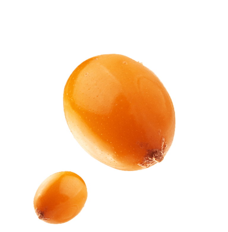 wellwithayuzera seabuckthorn berry