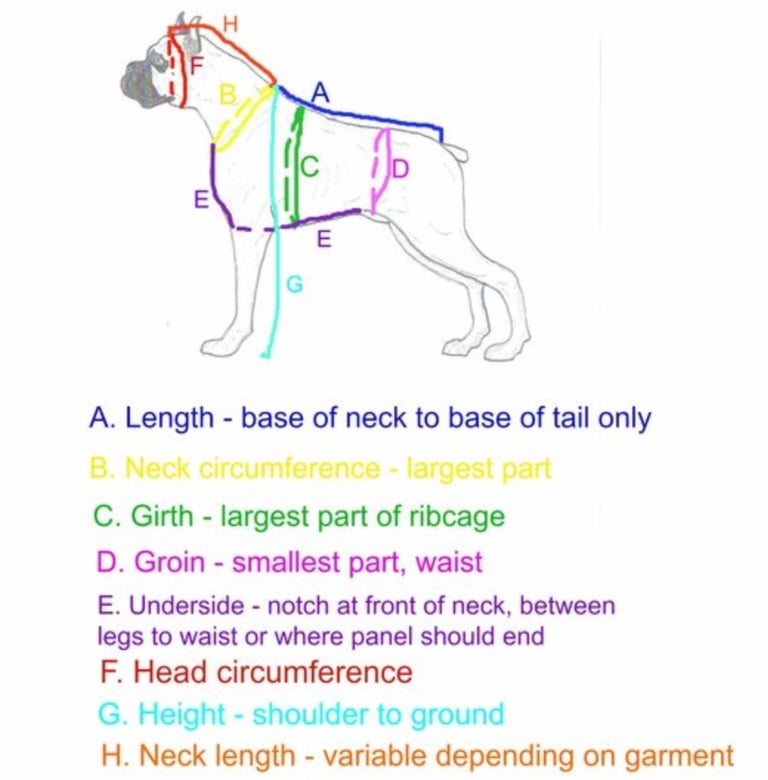 An illustrated dog measurement guide showing how to measure length, girth, and neck for pet clothing.