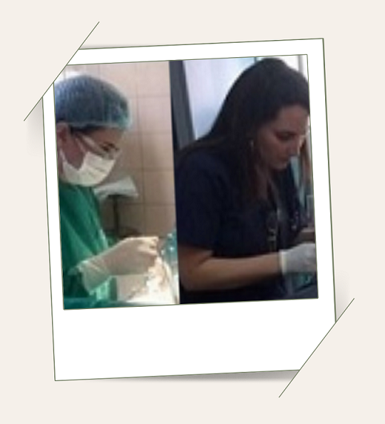 Duas imagens de médica realizando serviços médicos