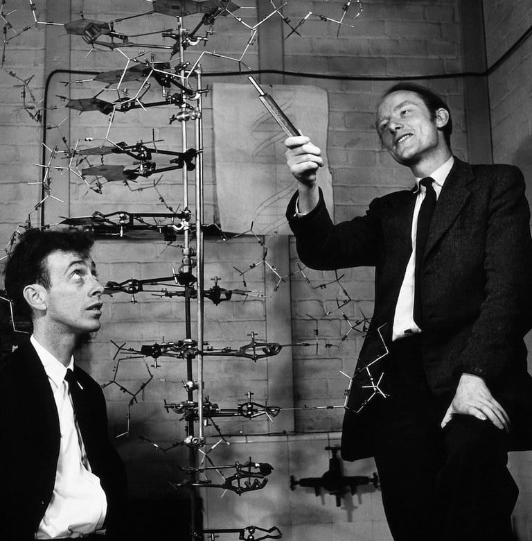 Watson and Crick