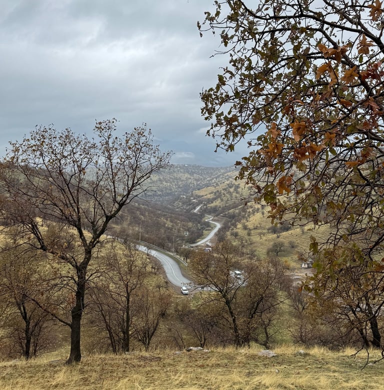 A landscape shot in Iraqi Kurdistan, near Barazan.