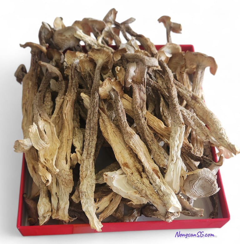 Sỉ Nấm Lộc Nhung HCM