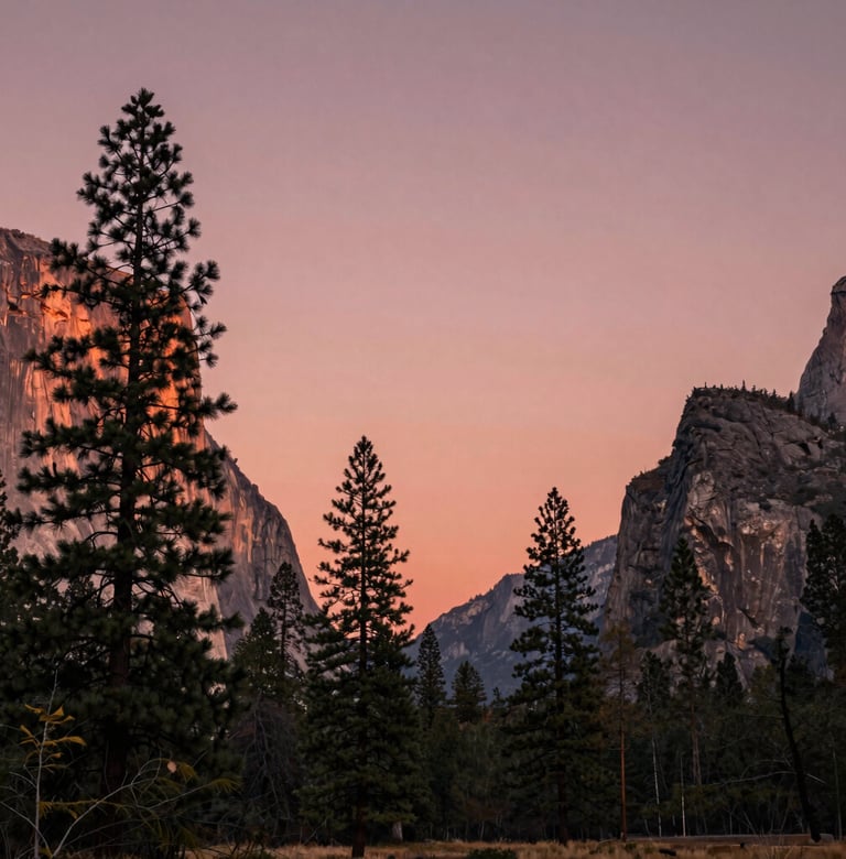 A stunning landscape photograph of a North American / US national park at sunset. The sky is a warm dusty rose, casting a soft glow over the silhouettes of tall pine trees. The composition is artistic and professional.
