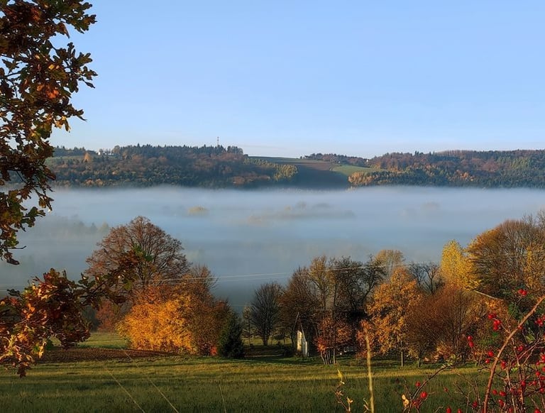 Sękiewiczówka - agroturystyka małopolska - gospodarstwo agroturystyczne dla dzieci