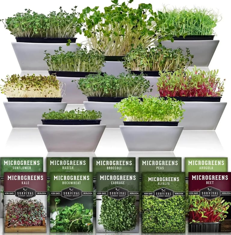 Organic Microgreen Seed Variety Pack