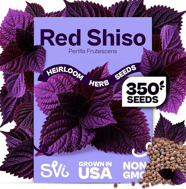 SVI 350 Red Shiso Seeds