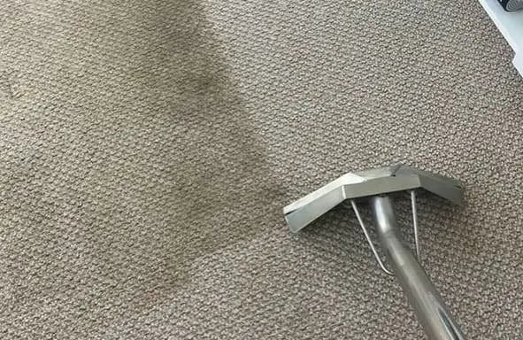 carpet cleaning with a wand