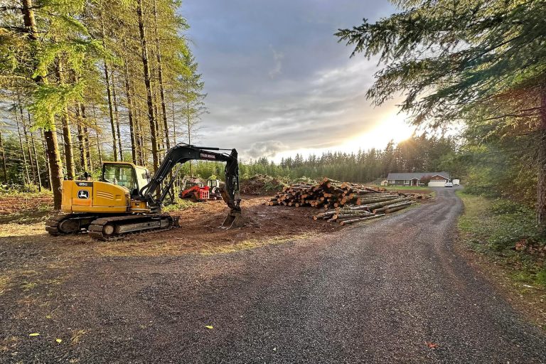 east west Clearing and excavation excavator with a loader on it in the woods