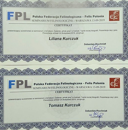 Seminariczne Felinologiczne FPL