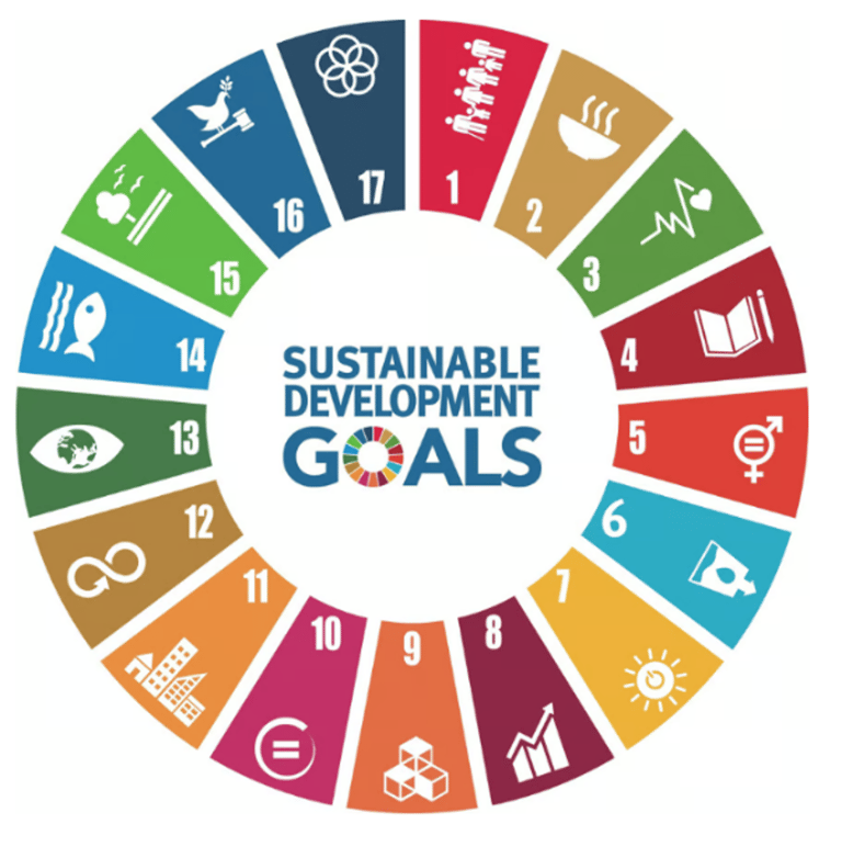 UN's Sustainable Development Goals