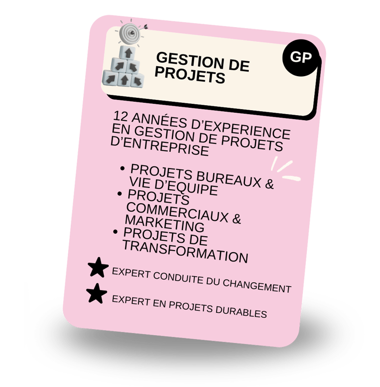 Gestion de projets PMO Paris
