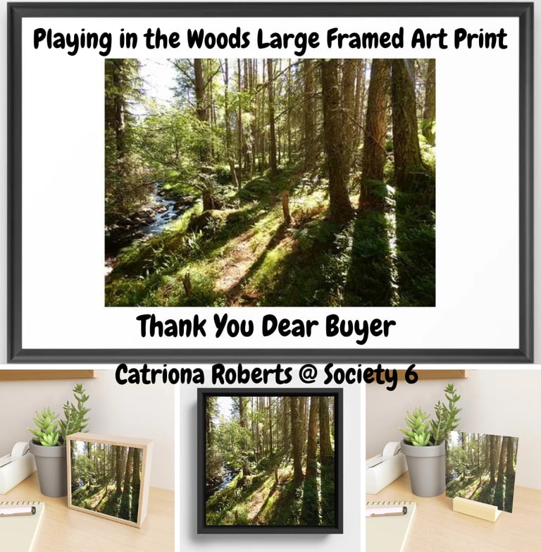 Photograph of a summery nature walk displayed on canvas and art prints.