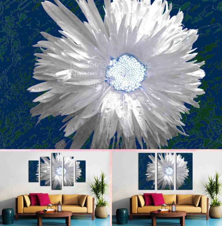 Digital image featuring 'White Dais Flower with Light Turquoise Centre on an Abstract Background' 