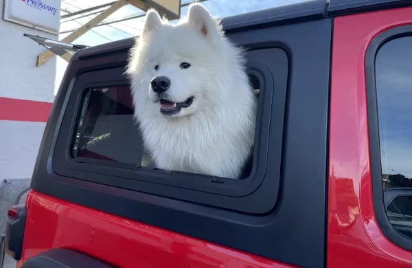 Dog friendly jeep sliding window for wrangler JL