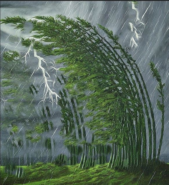 Resilience - Bamboo Plants In a storm