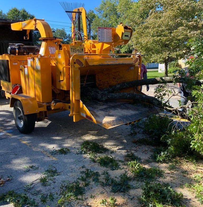 Tree service new Jersey