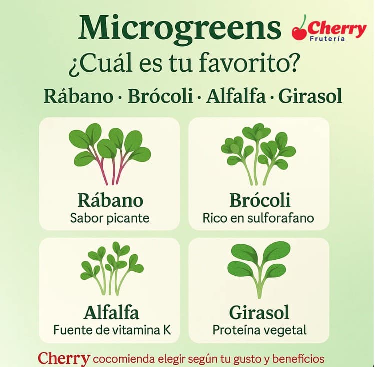 Diferentes microgreens en bandejas