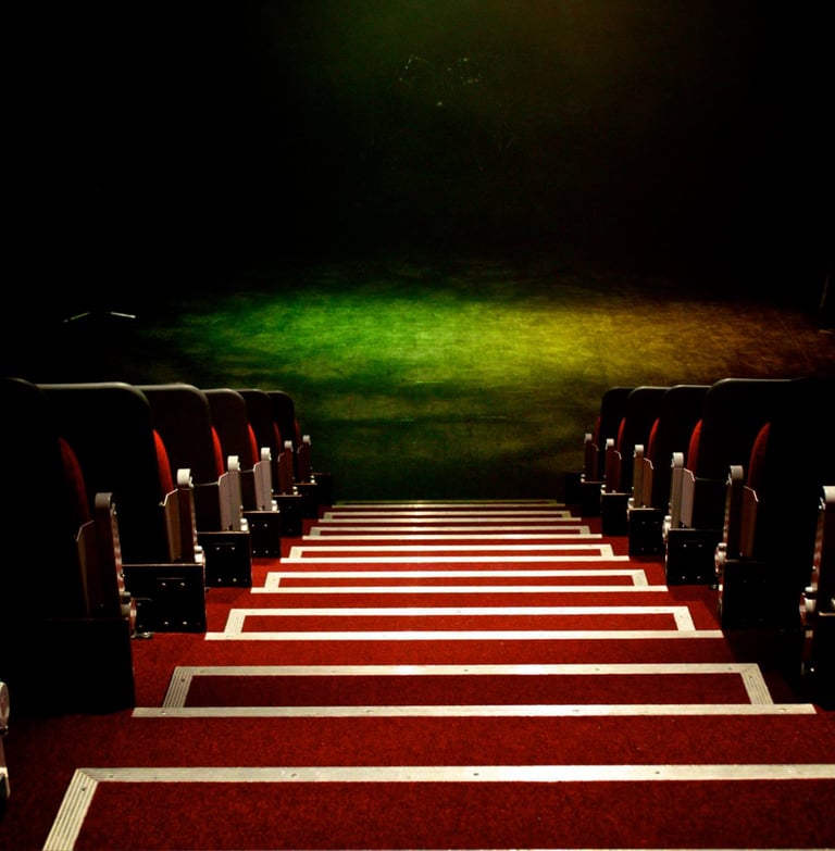 a red carpeted staircase casement with a red carpet