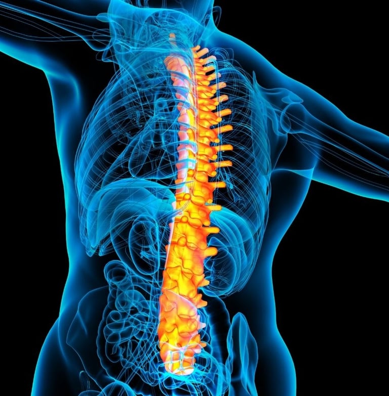 Dr. Memet Işık ile Ameliyatsız Çözümler Bel fıtığı kaderiniz değildir.