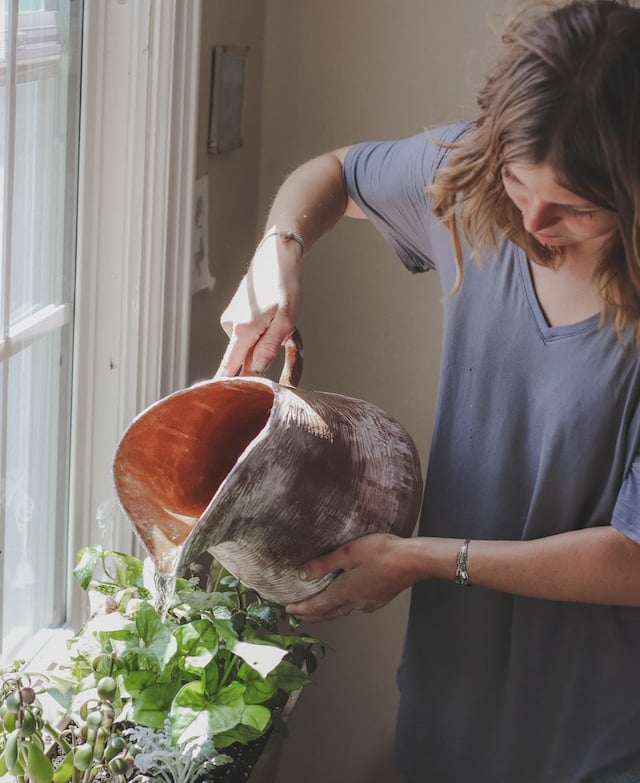 a person watering herbs and plants in a grden bed