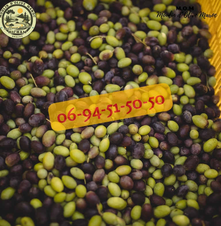 presse huile d'olive maroc