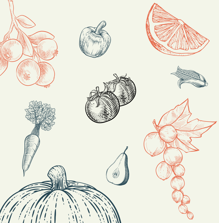 illustration stylisée orangde fruits et légumes
