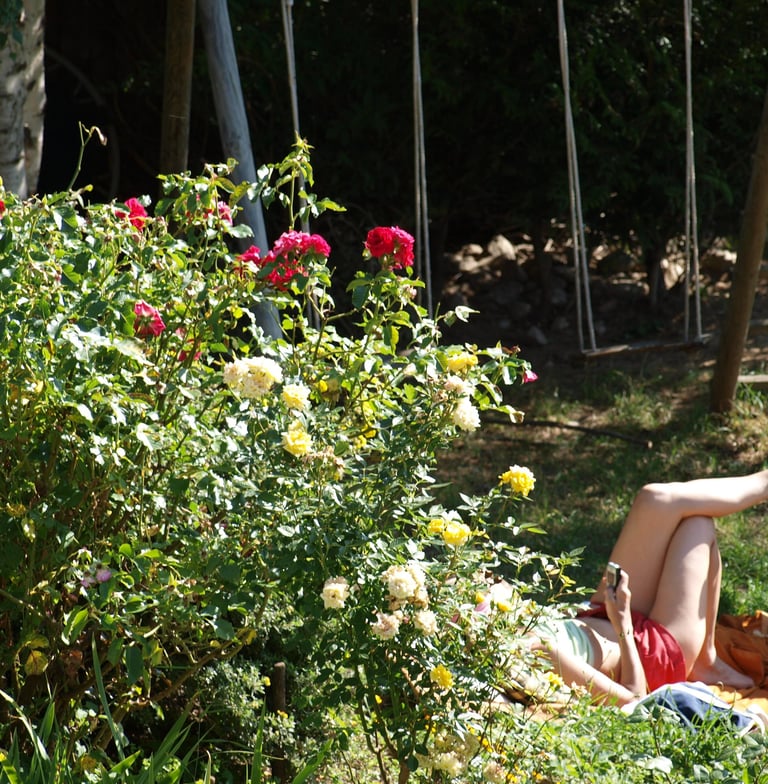 Le jardin de la Ferme du Veyre