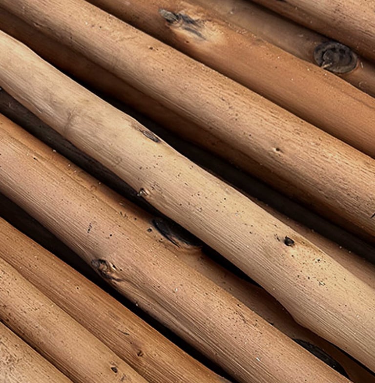 gros plan de bois de châtaignier