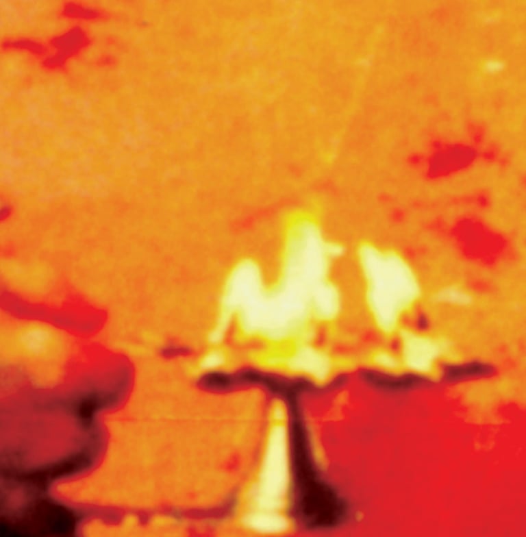 Aarti a Babaji