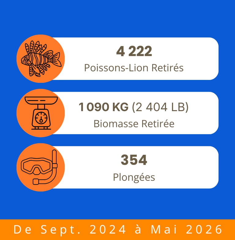 Statistiques de terrain TTT sur les prélèvements de poissons-lions, la biomasse et les plongées