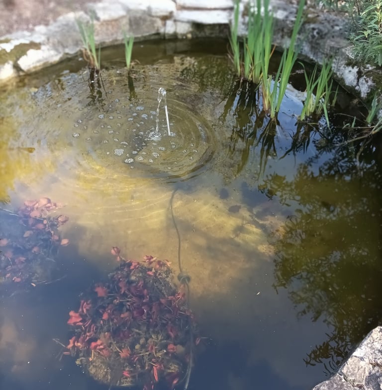 The pond awaits its summer visitors.
