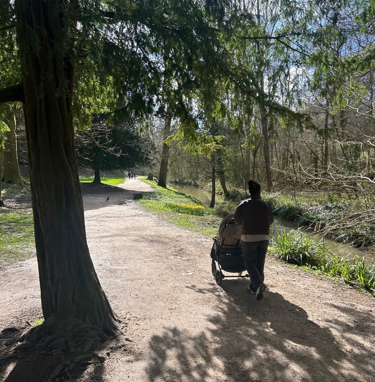 mum pushing pram in a park