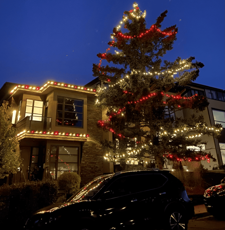 Red and white christmas lights on tall tree and modern home in Calgary