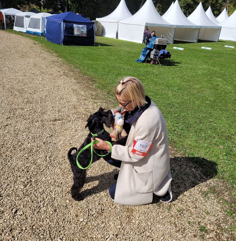 Vintus en expo à Dijon
