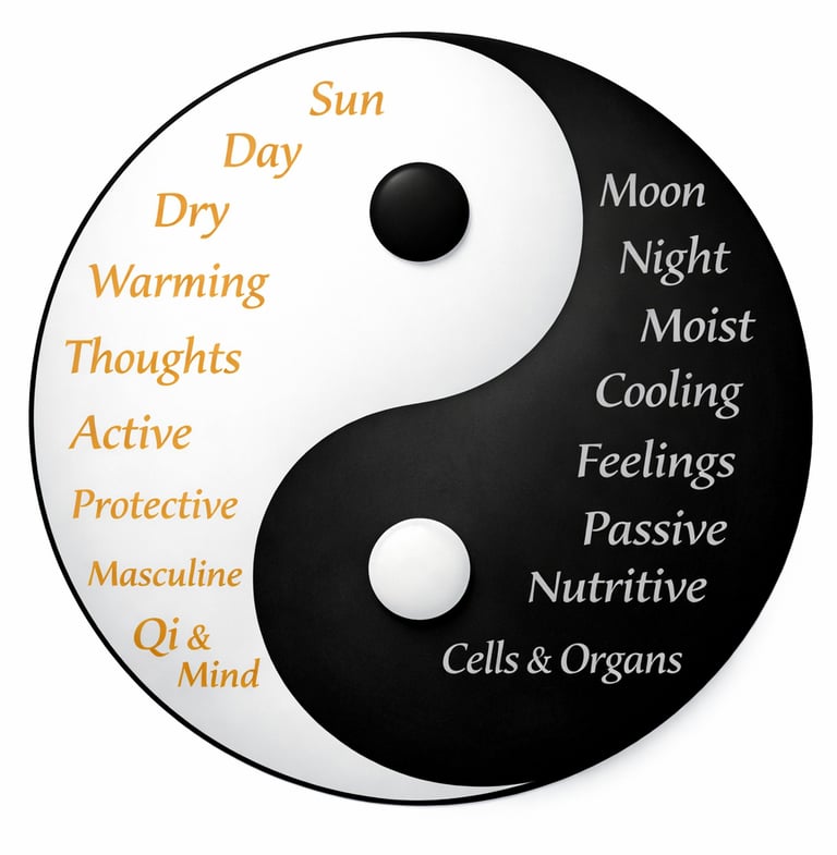 Yin and Yang symbol showing qualities of opposites: Yang as sun, day, active, protective, masculine,