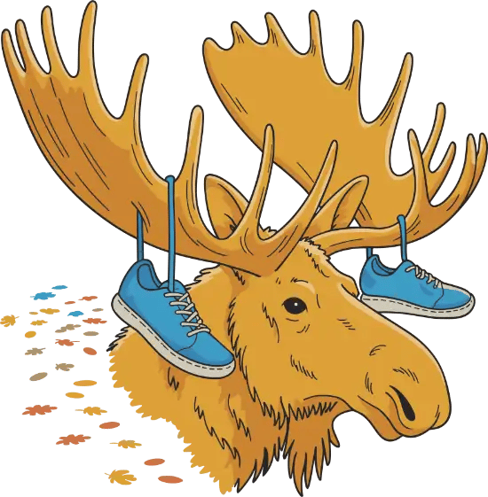 Tarptautinis Nidos Pusės Maratono Bėgimas 2026